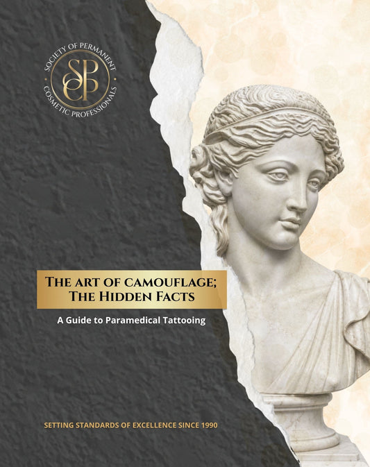 The Art of Camouflage: The Hidden Facts   SHIPS 5/27/26